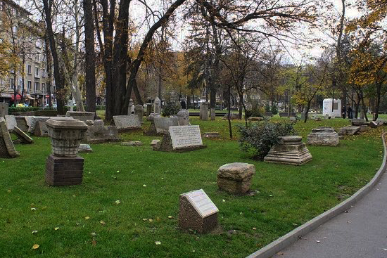 Doctors Garden Sofia Small